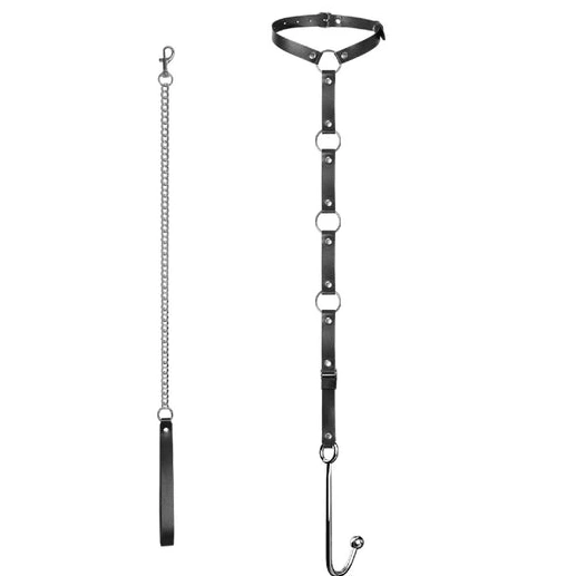 Anal Hooks Kinky EverydayUse Leash Hook Anal 5853 with and Collar 0128